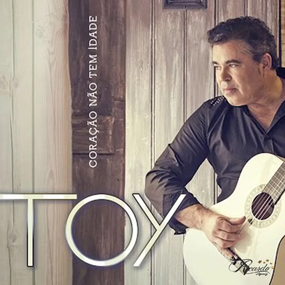 Toy